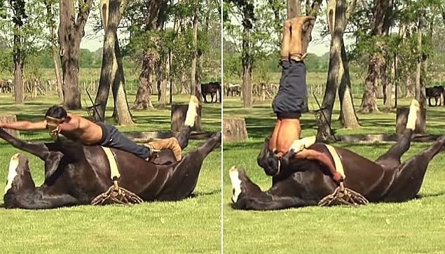 at-ile-yoga