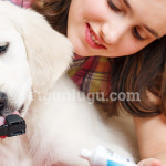 kedi-kopek-dis-sagligi