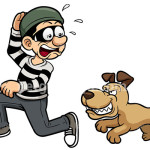 köpek hırsızlığı