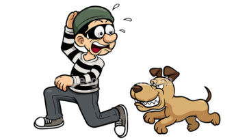 köpek hırsızlığı