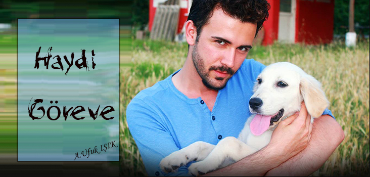 Sokak Hayvanları için Haydi göreve