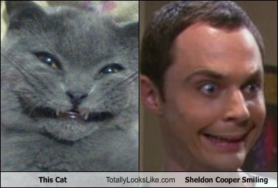 unlulere-benzeyen-kediler-4