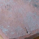 2000 Yıllık Kedi Patisi