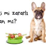 Tavuk Eti Zararlı mı