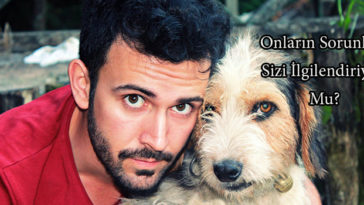 Sokak Hayvanları Sorunu