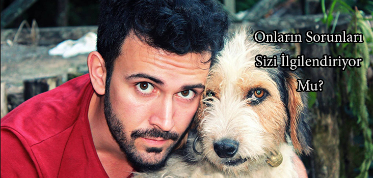 Sokak Hayvanları Sorunu