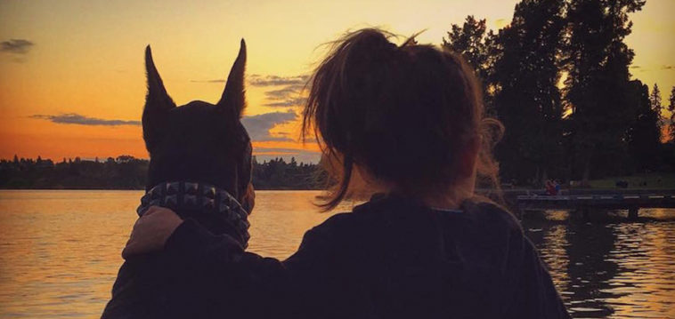 Doberman ve Minik Kız