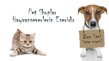 petshop gerçeği