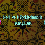 kedi köpek burçlar