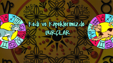 kedi köpek burçlar