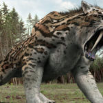 soyu-tukenen-hayvanlar