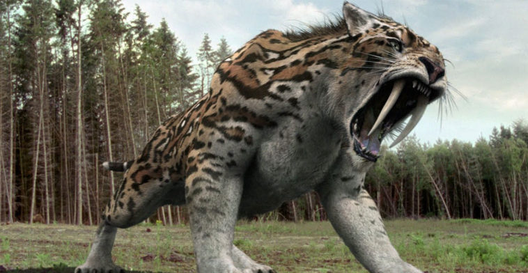 soyu-tukenen-hayvanlar