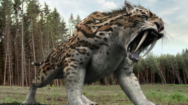 soyu-tukenen-hayvanlar